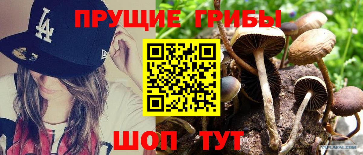 Галлюциногенные грибы GOLDEN TEACHER Удомля