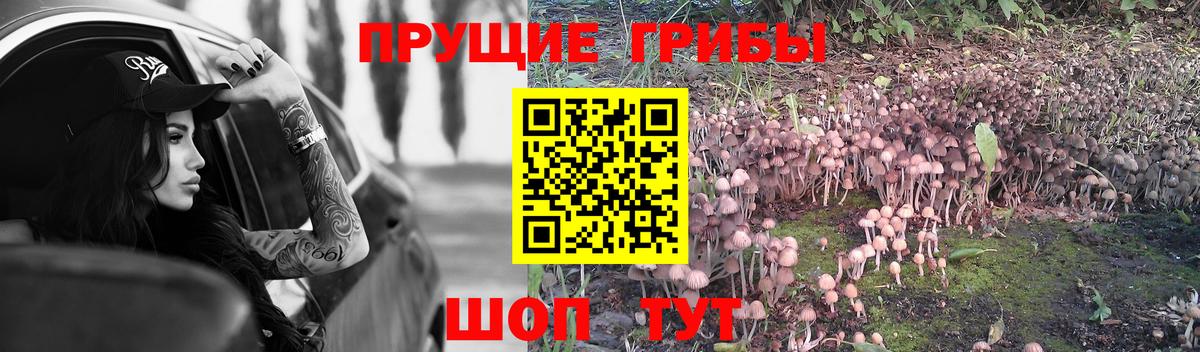 купить  сайты  Псилоцибиновые грибы прущие грибы  Вход с VPN  Удомля 